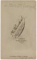 Gift of Mrs. Byard Williams, 1988.85.123, Connecticut Museum of Culture and History, Copyright …