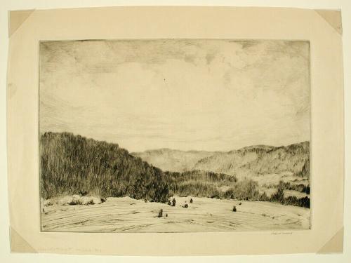 Connecticut Hills #1
