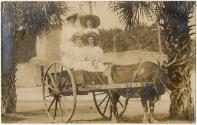 Gift of Jessie Norton-Lazenby, 2021.44.552, Connecticut Museum of Culture and History collectio…
