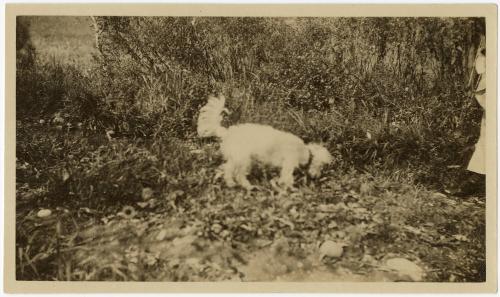 Gift of Laura Brewer, 2025.14.13, Connecticut Museum of Culture and History collection, No Know…