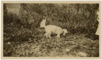 Gift of Laura Brewer, 2025.14.13, Connecticut Museum of Culture and History collection, No Know…