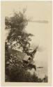 Gift of Laura Brewer, 2025.14.18, Connecticut Museum of Culture and History collection, No Know…