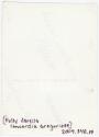 Bequest of Concordia A. Gregorieff, 2009.348.19, Connecticut Museum of Culture and History coll…