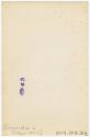 Bequest of Concordia A. Gregorieff, 2009.348.28a, Connecticut Museum of Culture and History col…