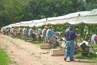 Gift of Dr. Leonard Hellerman, 2025.27.5a-b, Connecticut Museum of Culture and History collecti…