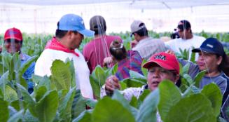 Gift of Dr. Leonard Hellerman, 2025.27.6, Connecticut Museum of Culture and History collection,…