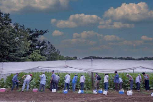 Gift of Dr. Leonard Hellerman, 2025.27.7a-b, Connecticut Museum of Culture and History collecti…