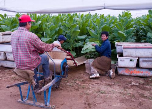 Gift of Dr. Leonard Hellerman, 2025.27.8a-b, Connecticut Museum of Culture and History collecti…