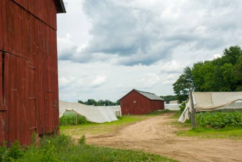 Gift of Dr. Leonard Hellerman, 2025.27.10a-b, Connecticut Museum of Culture and History collect…