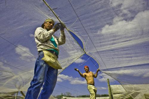 Gift of Dr. Leonard Hellerman, 2025.27.11a-b, Connecticut Museum of Culture and History collect…