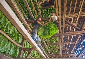 Gift of Dr. Leonard Hellerman, 2025.27.12a-b, Connecticut Museum of Culture and History collect…