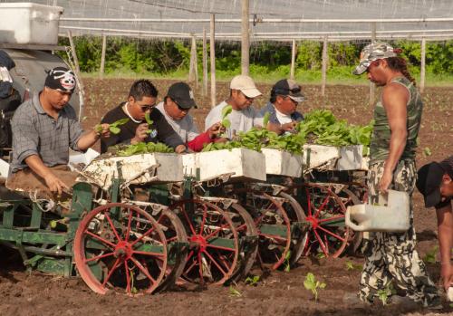 Gift of Dr. Leonard Hellerman, 2025.27.13a-b, Connecticut Museum of Culture and History collect…