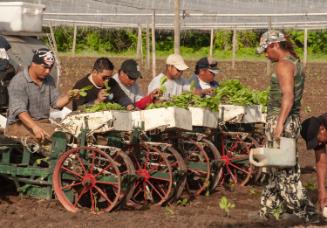 Gift of Dr. Leonard Hellerman, 2025.27.13a-b, Connecticut Museum of Culture and History collect…