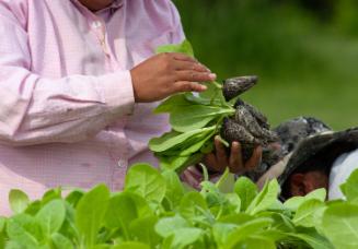 Gift of Dr. Leonard Hellerman, 2025.27.14a-b, Connecticut Museum of Culture and History collect…