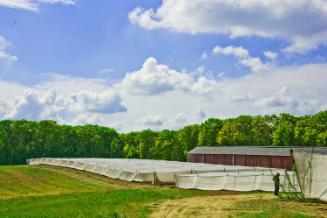 Gift of Dr. Leonard Hellerman, 2025.27.15a-b, Connecticut Museum of Culture and History collect…