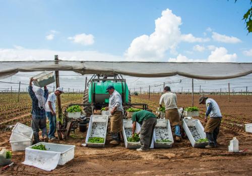 Gift of Dr. Leonard Hellerman, 2025.27.16a-b, Connecticut Museum of Culture and History collect…