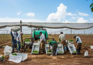 Gift of Dr. Leonard Hellerman, 2025.27.16a-b, Connecticut Museum of Culture and History collect…