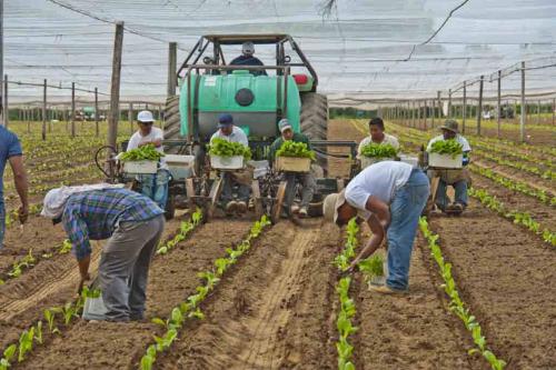 Gift of Dr. Leonard Hellerman, 2025.27.17a-b, Connecticut Museum of Culture and History collect…