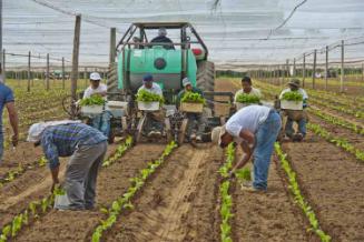 Gift of Dr. Leonard Hellerman, 2025.27.17a-b, Connecticut Museum of Culture and History collect…