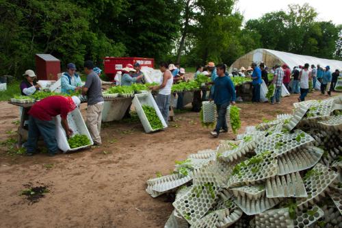 Gift of Dr. Leonard Hellerman, 2025.27.18a-b, Connecticut Museum of Culture and History collect…