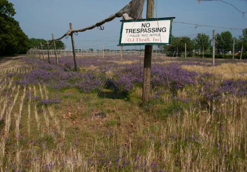 Gift of Dr. Leonard Hellerman, 2025.27.20a-b, Connecticut Museum of Culture and History collect…