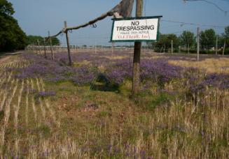 Gift of Dr. Leonard Hellerman, 2025.27.20a-b, Connecticut Museum of Culture and History collect…