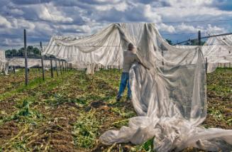 Gift of Dr. Leonard Hellerman, 2025.27.21a-b, Connecticut Museum of Culture and History collect…