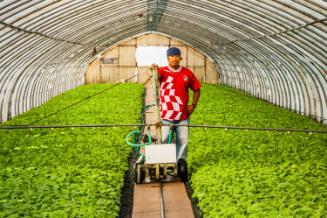 Gift of Dr. Leonard Hellerman, 2025.27.22, Connecticut Museum of Culture and History collection…