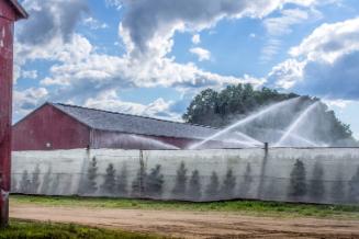 Gift of Dr. Leonard Hellerman, 2025.27.24a-b, Connecticut Museum of Culture and History collect…