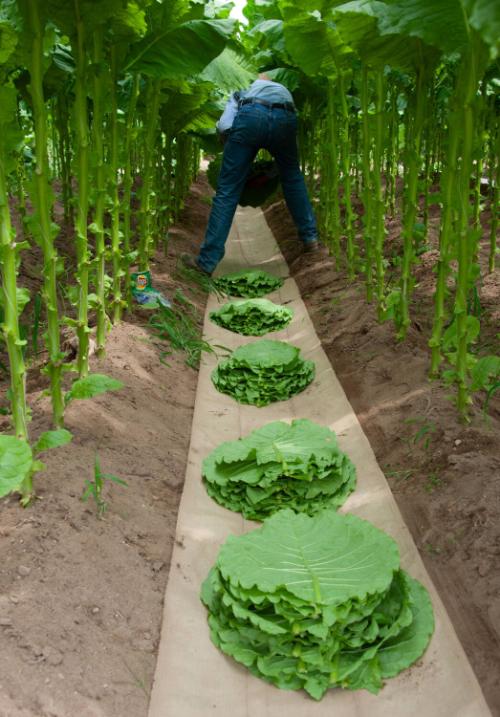 Gift of Dr. Leonard Hellerman, 2025.27.26a-b, Connecticut Museum of Culture and History collect…