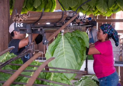 Gift of Dr. Leonard Hellerman, 2025.27.27a-b, Connecticut Museum of Culture and History collect…