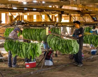 Gift of Dr. Leonard Hellerman, 2025.27.28a-b, Connecticut Museum of Culture and History collect…