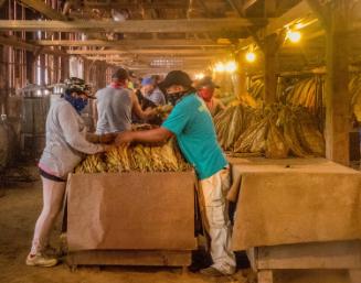 Gift of Dr. Leonard Hellerman, 2025.27.30, Connecticut Museum of Culture and History collection…