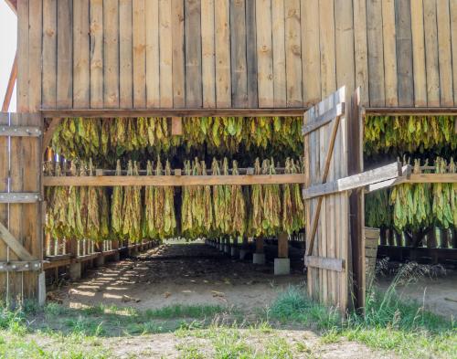 Gift of Dr. Leonard Hellerman, 2025.27.31a-b, Connecticut Museum of Culture and History collect…