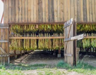 Gift of Dr. Leonard Hellerman, 2025.27.31a-b, Connecticut Museum of Culture and History collect…