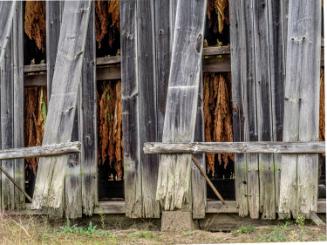 Gift of Dr. Leonard Hellerman, 2025.27.32a-b, Connecticut Museum of Culture and History collect…