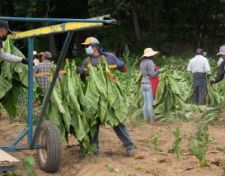 Gift of Dr. Leonard Hellerman, 2025.27.34a-b, Connecticut Museum of Culture and History collect…
