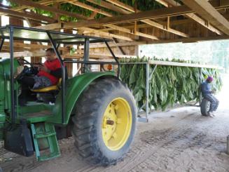 Gift of Dr. Leonard Hellerman, 2025.27.35a-b, Connecticut Museum of Culture and History collect…