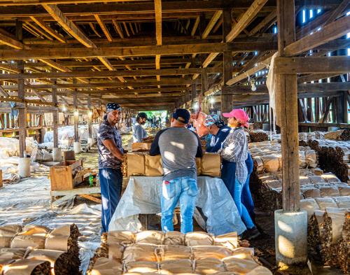 Gift of Dr. Leonard Hellerman, 2025.27.36, Connecticut Museum of Culture and History collection…