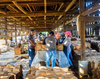 Gift of Dr. Leonard Hellerman, 2025.27.36, Connecticut Museum of Culture and History collection…