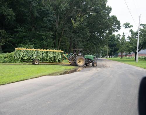 Gift of Dr. Leonard Hellerman, 2025.27.37, Connecticut Museum of Culture and History collection…