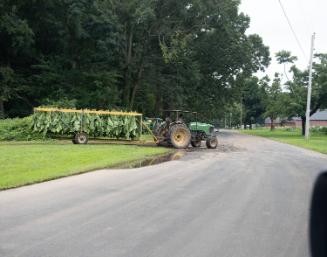 Gift of Dr. Leonard Hellerman, 2025.27.37, Connecticut Museum of Culture and History collection…