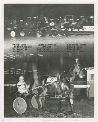 Gift of Theresa Wasielak McInnis, 2025.82.18, Connecticut Museum of Culture and History collect…