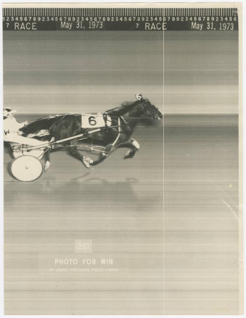 Gift of Theresa Wasielak McInnis, 2025.82.23, Connecticut Museum of Culture and History collect…