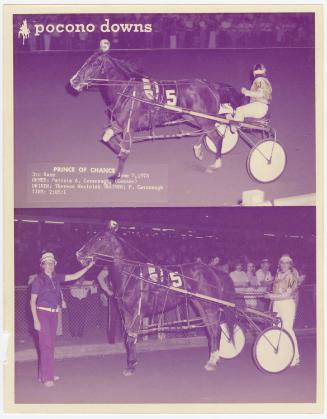 Gift of Theresa Wasielak McInnis, 2025.82.24, Connecticut Museum of Culture and History collect…