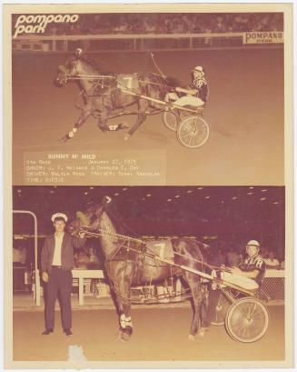 Gift of Theresa Wasielak McInnis, 2025.82.28, Connecticut Museum of Culture and History collect…