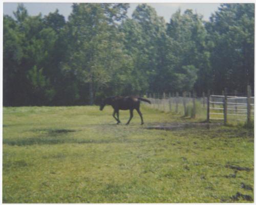 Gift of Theresa Wasielak McInnis, 2025.82.42, Connecticut Museum of Culture and History collect…