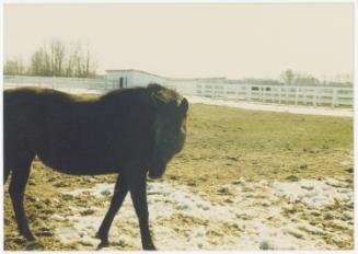 Gift of Theresa Wasielak McInnis, 2025.82.44, Connecticut Museum of Culture and History collect…