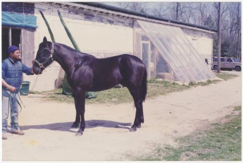 Gift of Theresa Wasielak McInnis, 2025.82.45, Connecticut Museum of Culture and History collect…