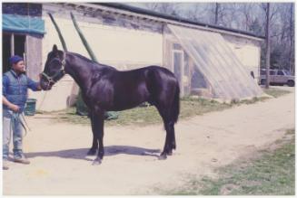 Gift of Theresa Wasielak McInnis, 2025.82.45, Connecticut Museum of Culture and History collect…